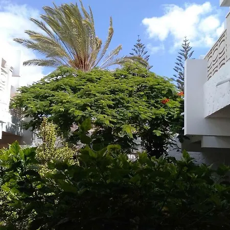 For 4 People, Costa Del Silencio, Chaparral, Near The Ocean, Wifi アパート コスタ・デル・シレンチオ